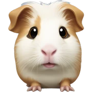 Guinea pig sticker