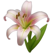 lily sticker