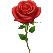 Red rose sticker