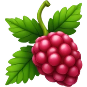 Raspberry  sticker