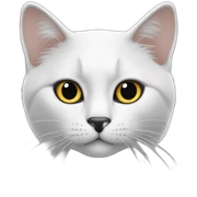 Gato blanco con negro  sticker