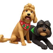 dog in christmas gift box sticker