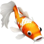 Koi fish sticker