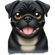 Black pug smile  sticker