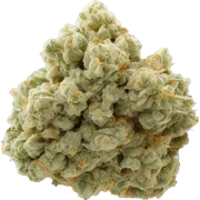 White Russian cannabis nug sticker