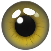 anatomy eye scheme sticker