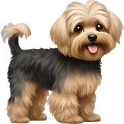Yorkie poodle mixed dog very fluffy sticker