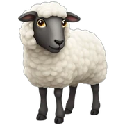 Sheep sticker