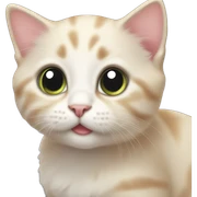 Kitten with big and sparkling eyes sticker