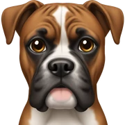 boxer dog sticker