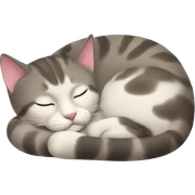 CAT SLEEPING sticker