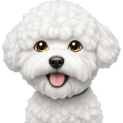 Bichon  sticker