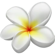 Frangipani  sticker