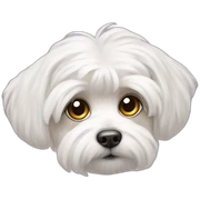 Maltese sticker