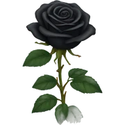 Black Rose sticker
