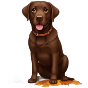 Chocolate labrador autumm season sticker