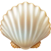 Pearl shell sticker
