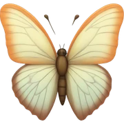 Butterfly  sticker
