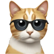 Cat with sunglasses sticker