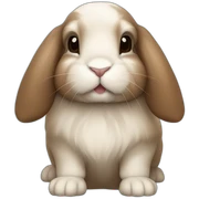 brown holland lop bunny (portrait, facing forward, iOS 17 style, happy) sticker