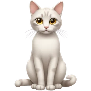 Gato  sticker
