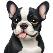 Black French bulldog sticker