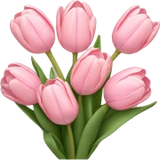 light pink tulip bouquet  sticker