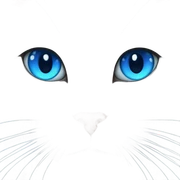 White cat with blue eyes sticker