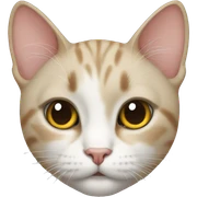 Cat  sticker