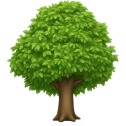 tree sticker