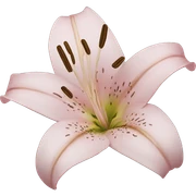 Lilies  sticker