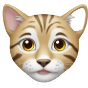 Кот  sticker