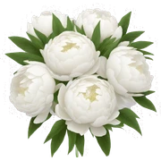 White peonies bouquet  sticker