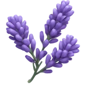 Wrip lavander sticker