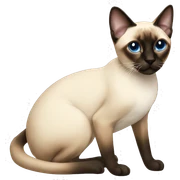 Siamese sticker