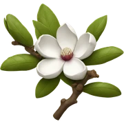 Magnolia branch sticker