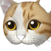 cat & cat sticker