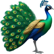 peacock sticker