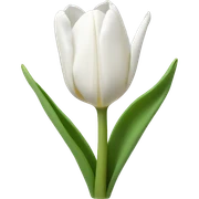 white tulips sticker