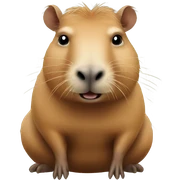 Capybara sticker