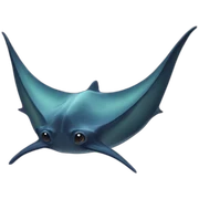 Manta sticker