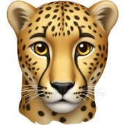 cheetah sticker