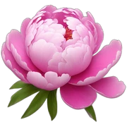 Peony sticker