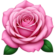 Pink sticker