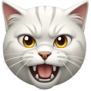 Cat angry sticker