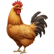 Chicken sticker