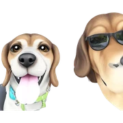 happy dog in sunglasses sticker