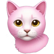 虹猫-星-pink sticker
