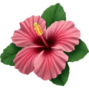 hibiscus sticker