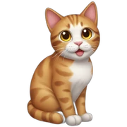Cat cat sticker